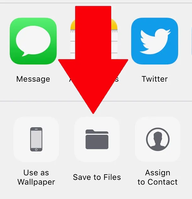 WhatsApp'ta Sıkıştırılmamış Görüntüler Nasıl Gönderilir? - görsel 2