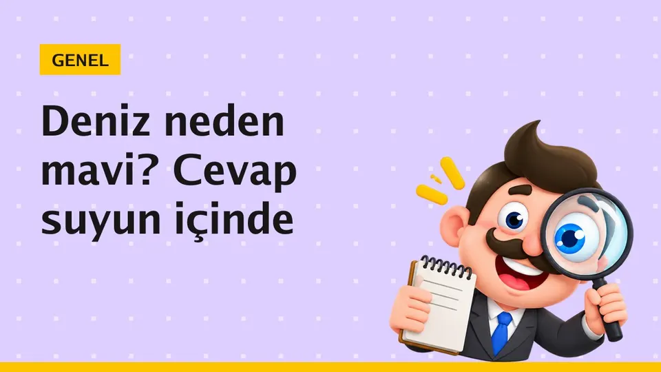 Deniz neden mavi görünür? Asıl neden suyun kendisi